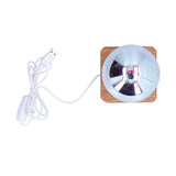 LED Night Light USB Interface Glass Ball Projection Lamp RGB Table Decoration for Home