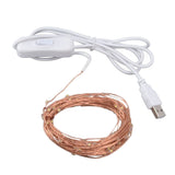 USB Copper Wire String Lights DIY 100 LEDs 10m/32.8ft Energy Saving Safe Warm Light LED Light String for Outdoor - Front View
