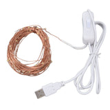 USB Copper Wire String Lights DIY 100 LEDs 10m/32.8ft Energy Saving Safe Warm Light LED Light String for Outdoor