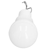 Solar Light Bulb Energy Saving White Light USB Solar LED Bulb Light for Outdoor Camping Emergency with Hook - Close-Up Angle