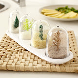 4pcs Seasoning Storage Container Innovative Cute Design Seasoning Shaker Kitchen Spice Jar Set for Home Plant