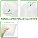 Orchid Flower Pot Breathable Clear Orchid Planting Pot with Holes for Indoor Outdoor - Rear View