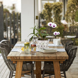 Orchid Flower Pot Breathable Clear Orchid Planting Pot with Holes for Indoor Outdoor - Low Angle