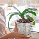 Orchid Flower Pot Breathable Clear Orchid Planting Pot with Holes for Indoor Outdoor - Extra Image