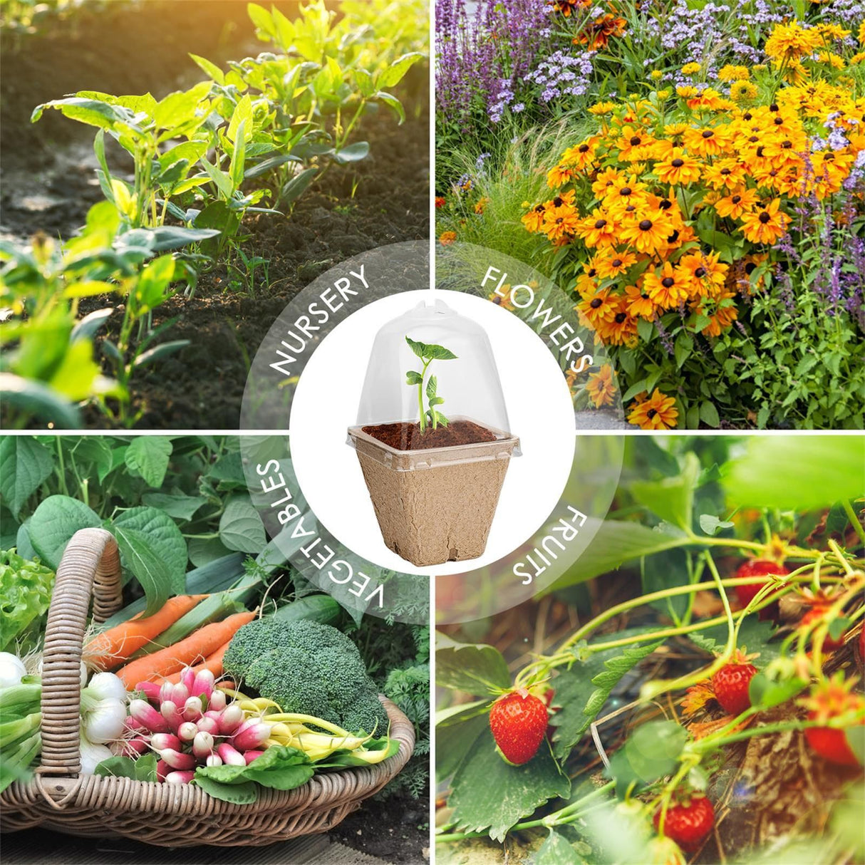 Seedling Cup Biodegradable Planter Pots With Humidity Dome Plant Nursery Pots