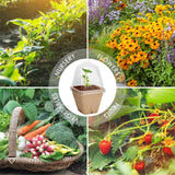 Seedling Cup Biodegradable Planter Pots With Humidity Dome Plant Nursery Pots