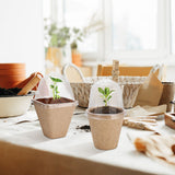 Seedling Cup Biodegradable Planter Pots With Humidity Dome Plant Nursery Pots - Extra Image