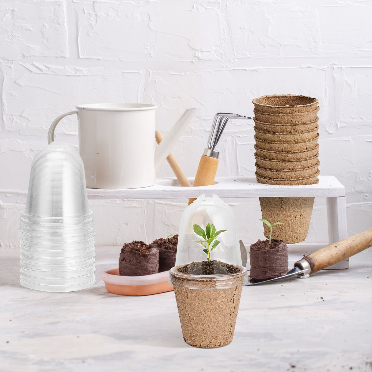 Seedling Cup Biodegradable Planter Pots With Humidity Dome Plant Nursery Pots