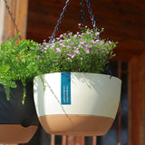 Hanging Double Chain Hanging Basket Planter Home Balcony Indoor Automatic Water Absorbing Basin - Extra Image