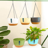 Hanging Double Chain Hanging Basket Planter Home Balcony Indoor Automatic Water Absorbing Basin - Low Angle