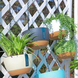 Hanging Double Chain Hanging Basket Planter Home Balcony Indoor Automatic Water Absorbing Basin