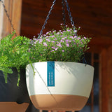 Hanging Double Chain Hanging Basket Planter Home Balcony Indoor Automatic Water Absorbing Basin - Extra Image