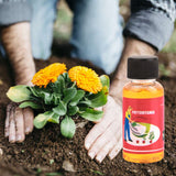 Household Plant Rooting Energizer Activates Fast Rooting Plant Nutrient Solution for Stiff Seedlings