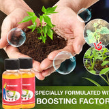 Household Plant Rooting Energizer Activates Fast Rooting Plant Nutrient Solution for Stiff Seedlings