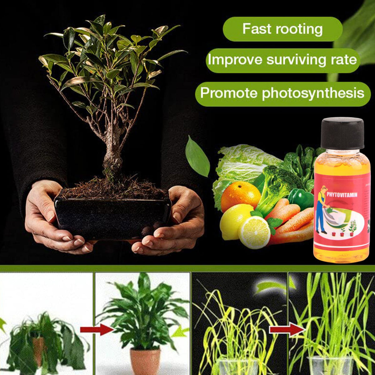 Household Plant Rooting Energizer Activates Fast Rooting Plant Nutrient Solution for Stiff Seedlings