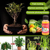 Household Plant Rooting Energizer Activates Fast Rooting Plant Nutrient Solution for Stiff Seedlings
