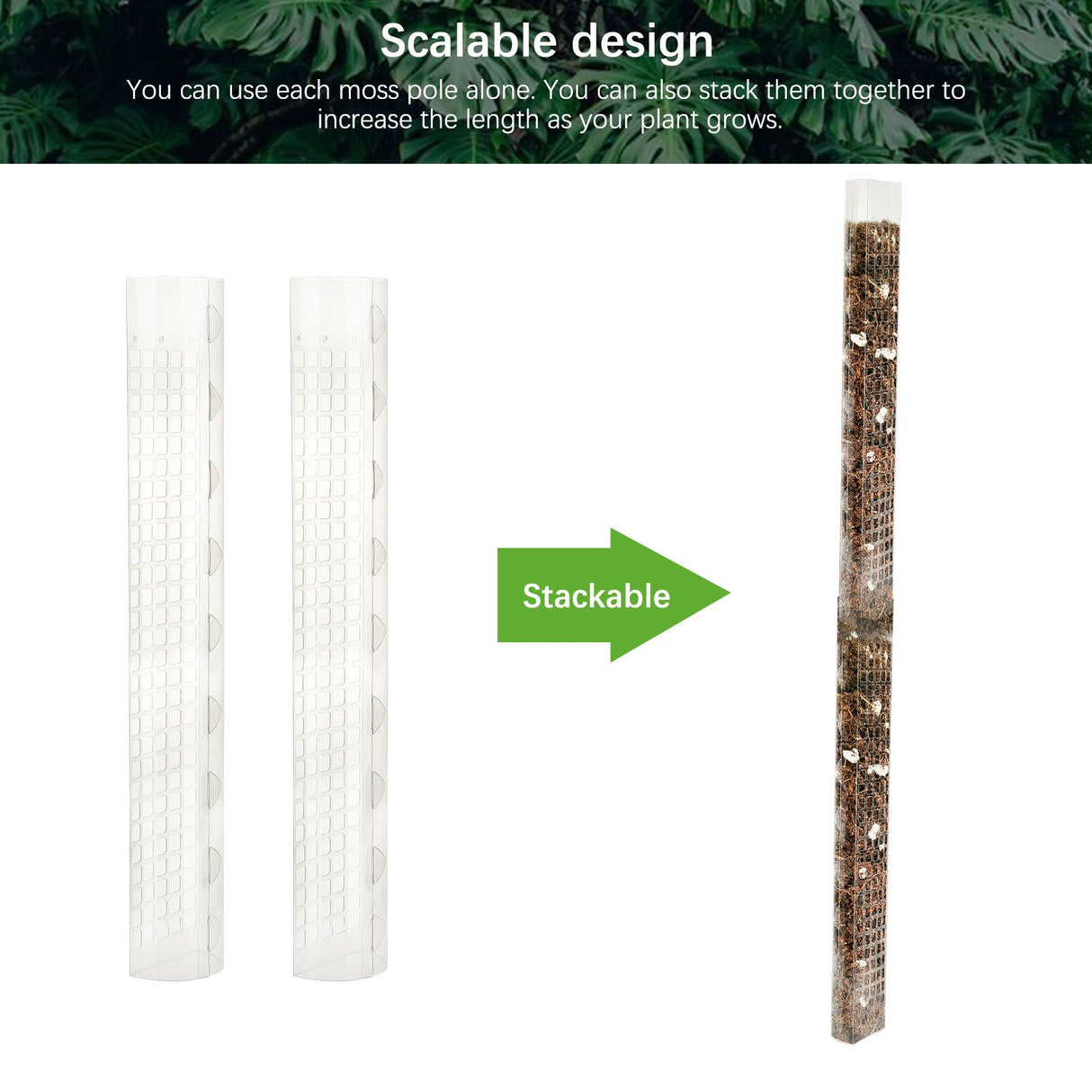 Plant Plastic Moss Pole Moss Supports Climbing Plant Poles Tortoise Back Moss Rod for Plant Posts and Peat