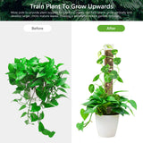 Plant Plastic Moss Pole Moss Supports Climbing Plant Poles Tortoise Back Moss Rod for Plant Posts and Peat