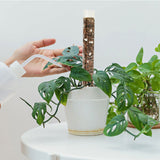 Plant Plastic Moss Pole Moss Supports Climbing Plant Poles Tortoise Back Moss Rod for Plant Posts and Peat