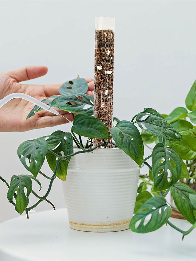 Plant Plastic Moss Pole Moss Supports Climbing Plant Poles Tortoise Back Moss Rod for Plant Posts and Peat