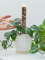 Plant Plastic Moss Pole Moss Supports Climbing Plant Poles Tortoise Back Moss Rod for Plant Posts and Peat
