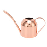 Watering Can for House Bonsai Garden Flower Outdoor Indoor Plants Long Spout Pot Stainless Steel Rose Gold