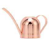 Watering Can for House Bonsai Garden Flower Outdoor Indoor Plants Long Spout Pot Stainless Steel Rose Gold - Top-Down View