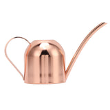 Watering Can for House Bonsai Garden Flower Outdoor Indoor Plants Long Spout Pot Stainless Steel Rose Gold