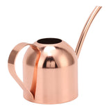 Watering Can for House Bonsai Garden Flower Outdoor Indoor Plants Long Spout Pot Stainless Steel Rose Gold