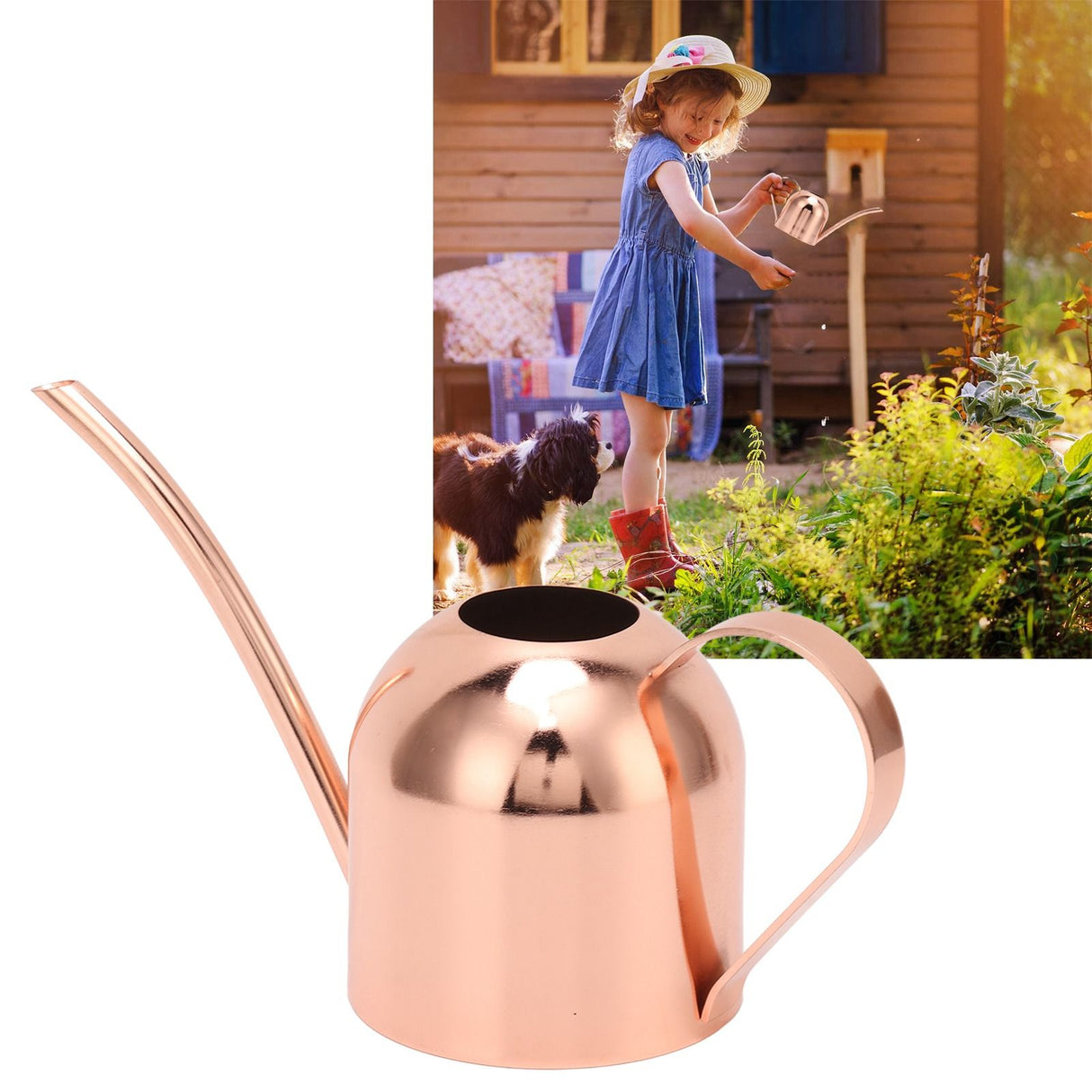 Watering Can for House Bonsai Garden Flower Outdoor Indoor Plants Long Spout Pot Stainless Steel Rose Gold