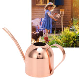 Watering Can for House Bonsai Garden Flower Outdoor Indoor Plants Long Spout Pot Stainless Steel Rose Gold