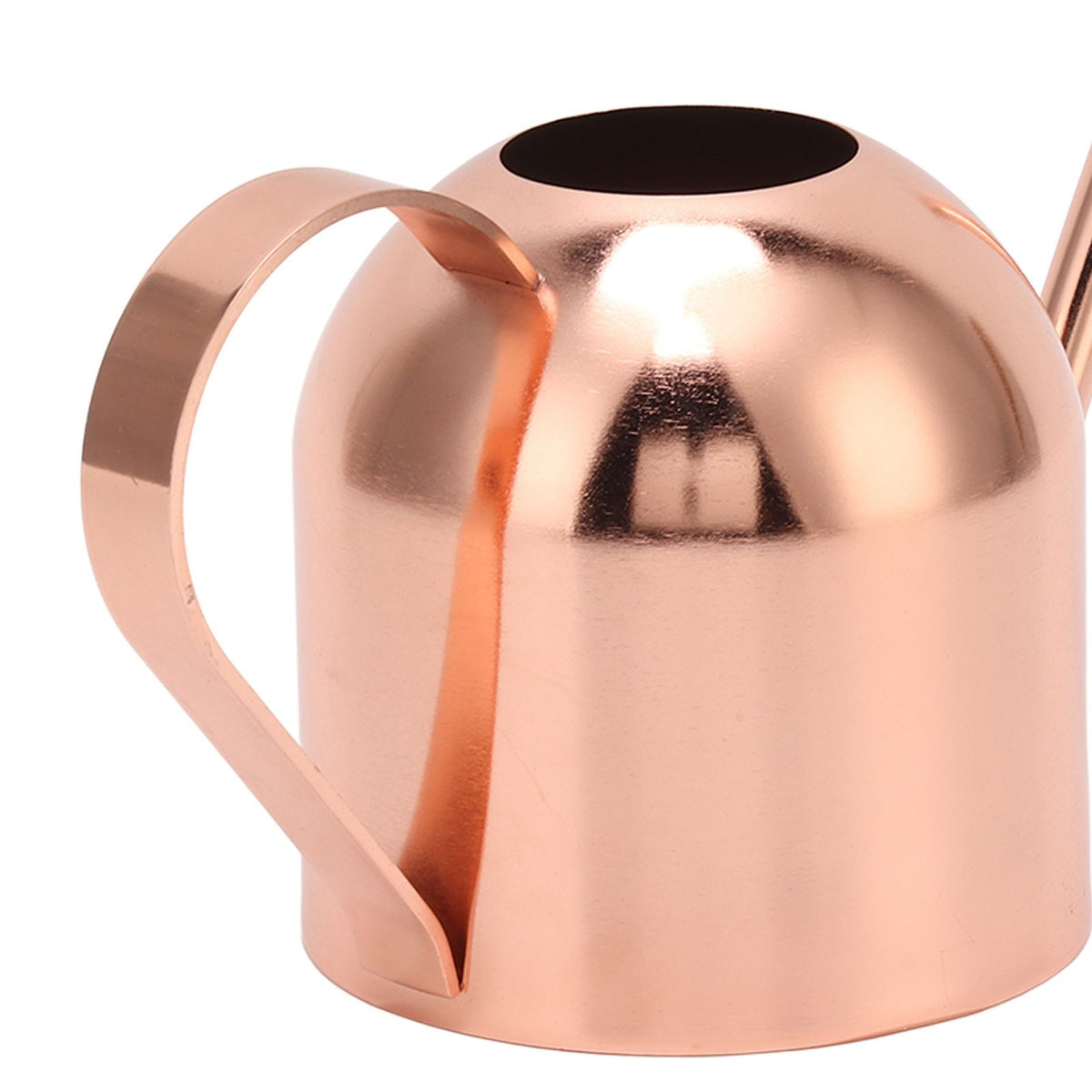 Watering Can for House Bonsai Garden Flower Outdoor Indoor Plants Long Spout Pot Stainless Steel Rose Gold