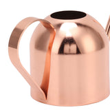 Watering Can for House Bonsai Garden Flower Outdoor Indoor Plants Long Spout Pot Stainless Steel Rose Gold