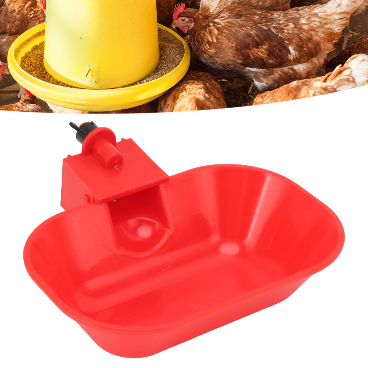 6PCS Automatic Poultry Drinking Bowls Large Thickening ABS Waterer Bowl for Cat Dog Chicken Duck G1/8 Male Thread