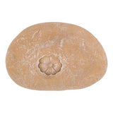 Pet Memorial Garden Stone DIY Lettering Simulation Pebbles Pet Grave Marker for Dogs Cats Small Flower Stone Sand Yellow