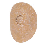 Pet Memorial Garden Stone DIY Lettering Simulation Pebbles Pet Grave Marker for Dogs Cats Small Flower Stone Sand Yellow