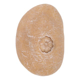Pet Memorial Garden Stone DIY Lettering Simulation Pebbles Pet Grave Marker for Dogs Cats Small Flower Stone Sand Yellow