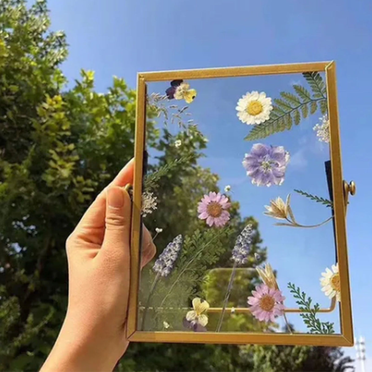 Photo Frame Display Transparent Glass Iron Support Tabletop Dried Flower Frame for Home Decorations 6 Inches
