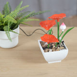 Desktop Fountain Ornament Indoor Small DIY Tabletop Circulating Waterfall Decoration for Office Living Room AU Plug 220-240V