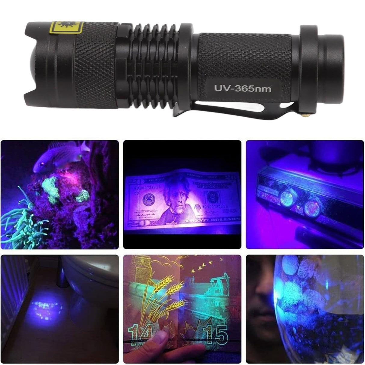 UV Flashlights Waterproof Battery Powered Impact Resistant Aluminum 365nm Ultraviolet Flashlight Cat Urine Detector Light