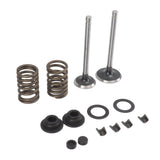 Microtiller Valve Parts Iron Wear Resistant Anti Corrosion Spring Washer Locking Clip Set for Generator