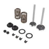 Microtiller Valve Parts Iron Wear Resistant Anti Corrosion Spring Washer Locking Clip Set for Generator - Side View