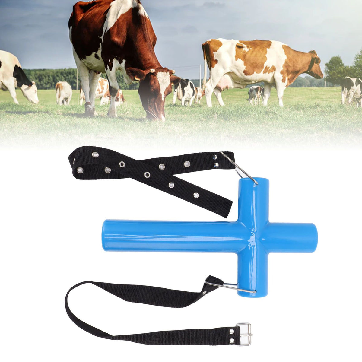 Livestock Mouth Opener Animal Gastric Lavage Feeding Medicine Cross Tool for Cattle Horse Sheep Blue L