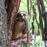 Garden Peeker Sloth Sculptures Lovely Innovative Simulation Resin Waterproof Lasting Tree Hugger Peeker Statue - Rear View