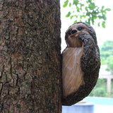 Garden Peeker Sloth Sculptures Lovely Innovative Simulation Resin Waterproof Lasting Tree Hugger Peeker Statue