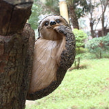 Garden Peeker Sloth Sculptures Lovely Innovative Simulation Resin Waterproof Lasting Tree Hugger Peeker Statue