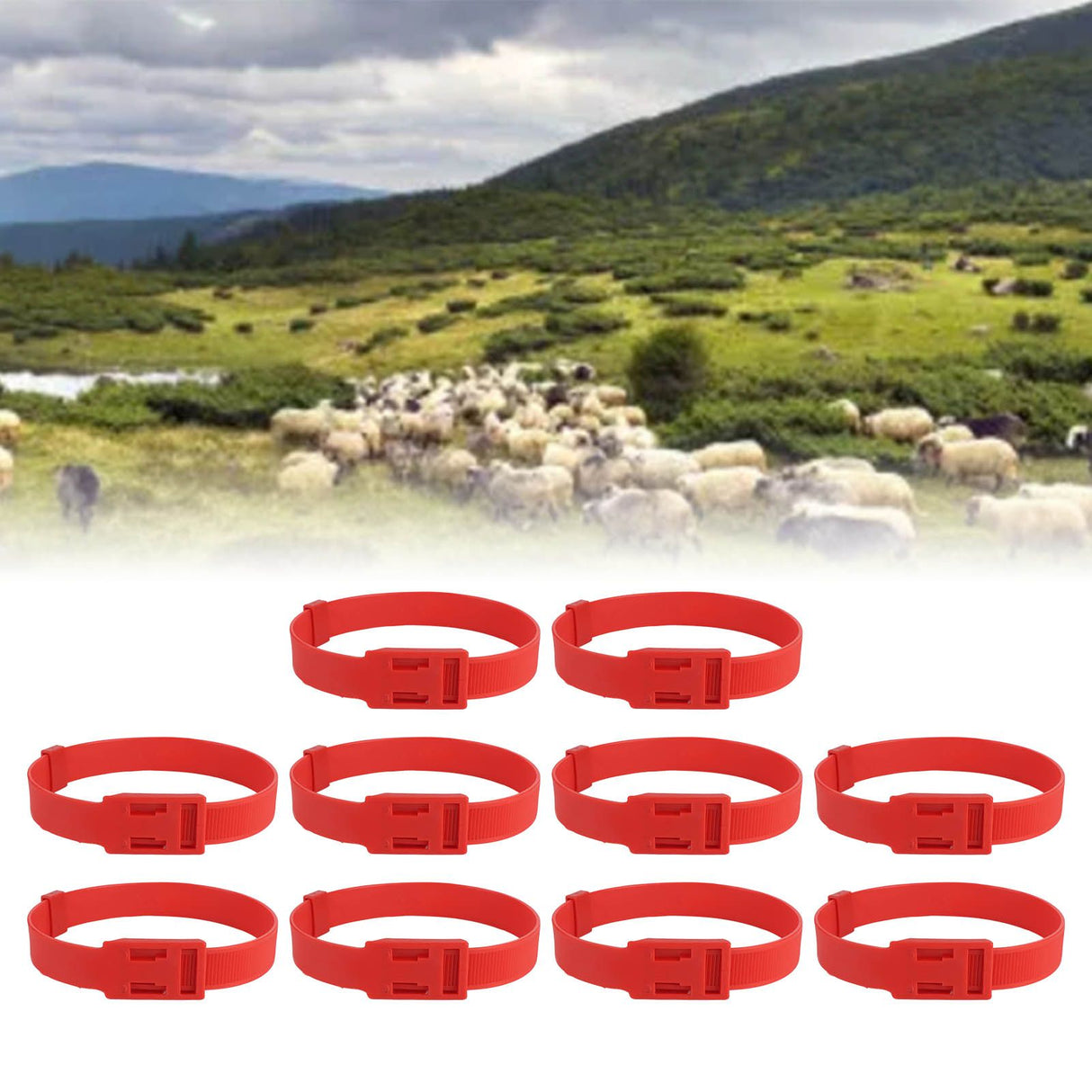 10PCS Goat Collar PU 23 Inch Adjustable Livestock Collar for Farm Animal Cow Horse Sheep Red