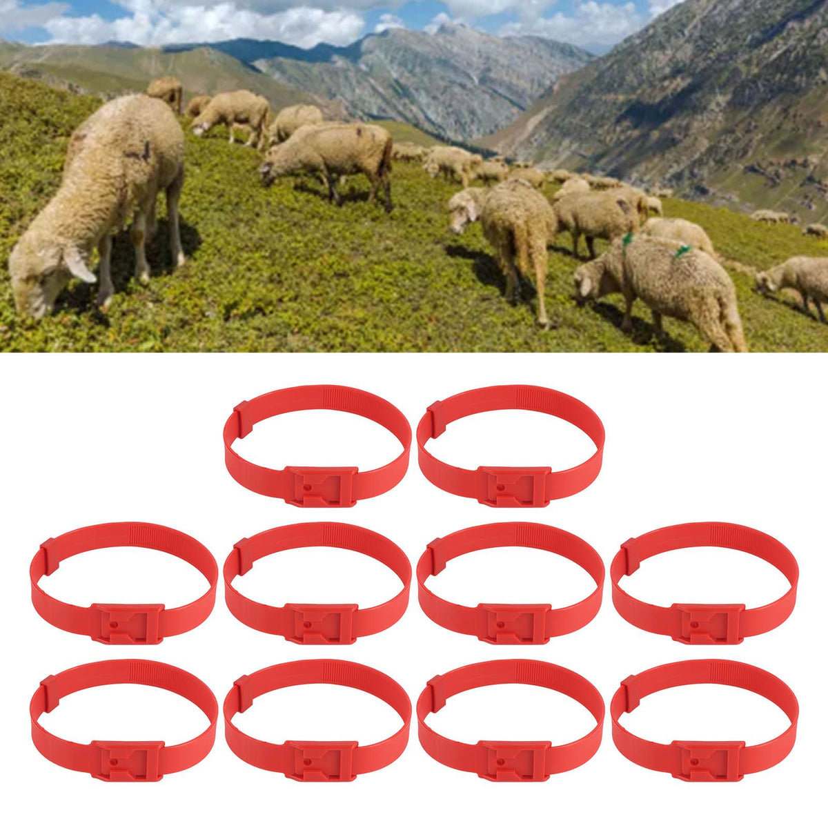 10PCS Goat Collar PU 23 Inch Adjustable Livestock Collar for Farm Animal Cow Horse Sheep Red