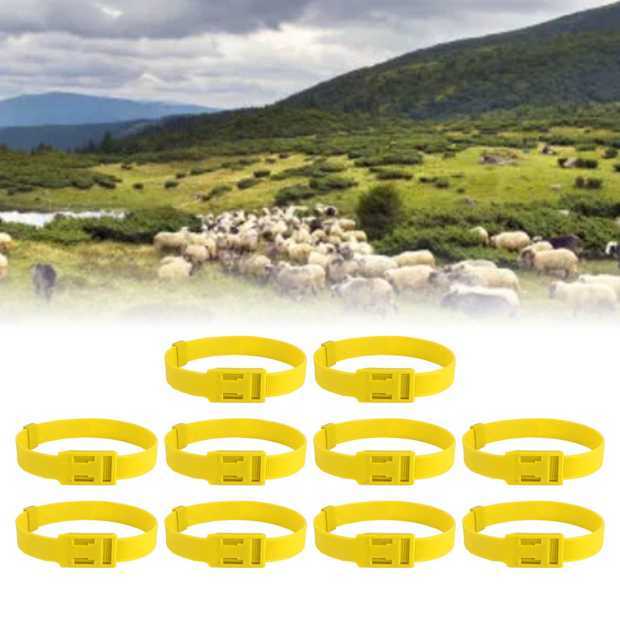 10PCS Goat Collar PU 23 Inch Adjustable Livestock Collar for Farm Animal Cow Horse Sheep Yellow