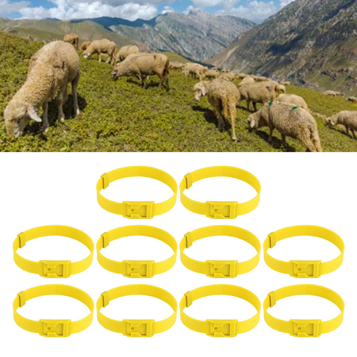 10PCS Goat Collar PU 23 Inch Adjustable Livestock Collar for Farm Animal Cow Horse Sheep Yellow